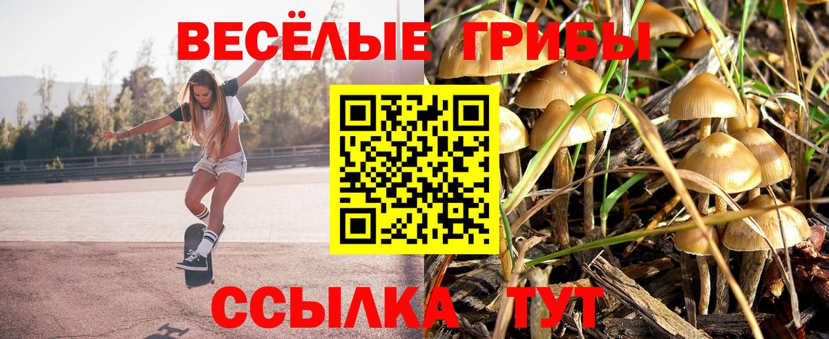 где купить наркоту  Галлюциногенные грибы MAGIC MUSHROOMS  Моздок  Вход с VPN  Псилоцибиновые грибы ЛСД 