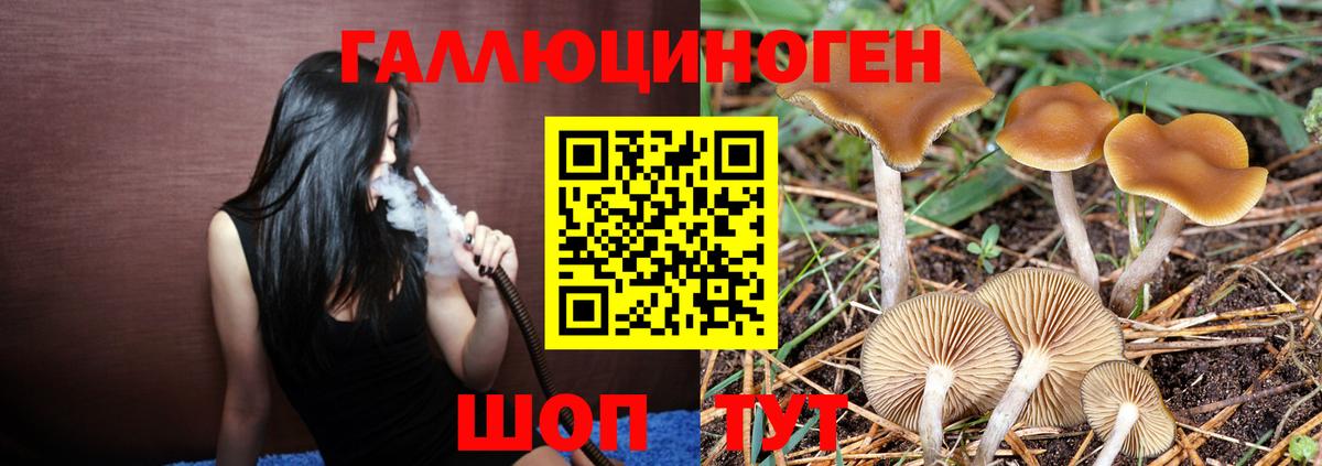 Псилоцибиновые грибы ЛСД Моздок